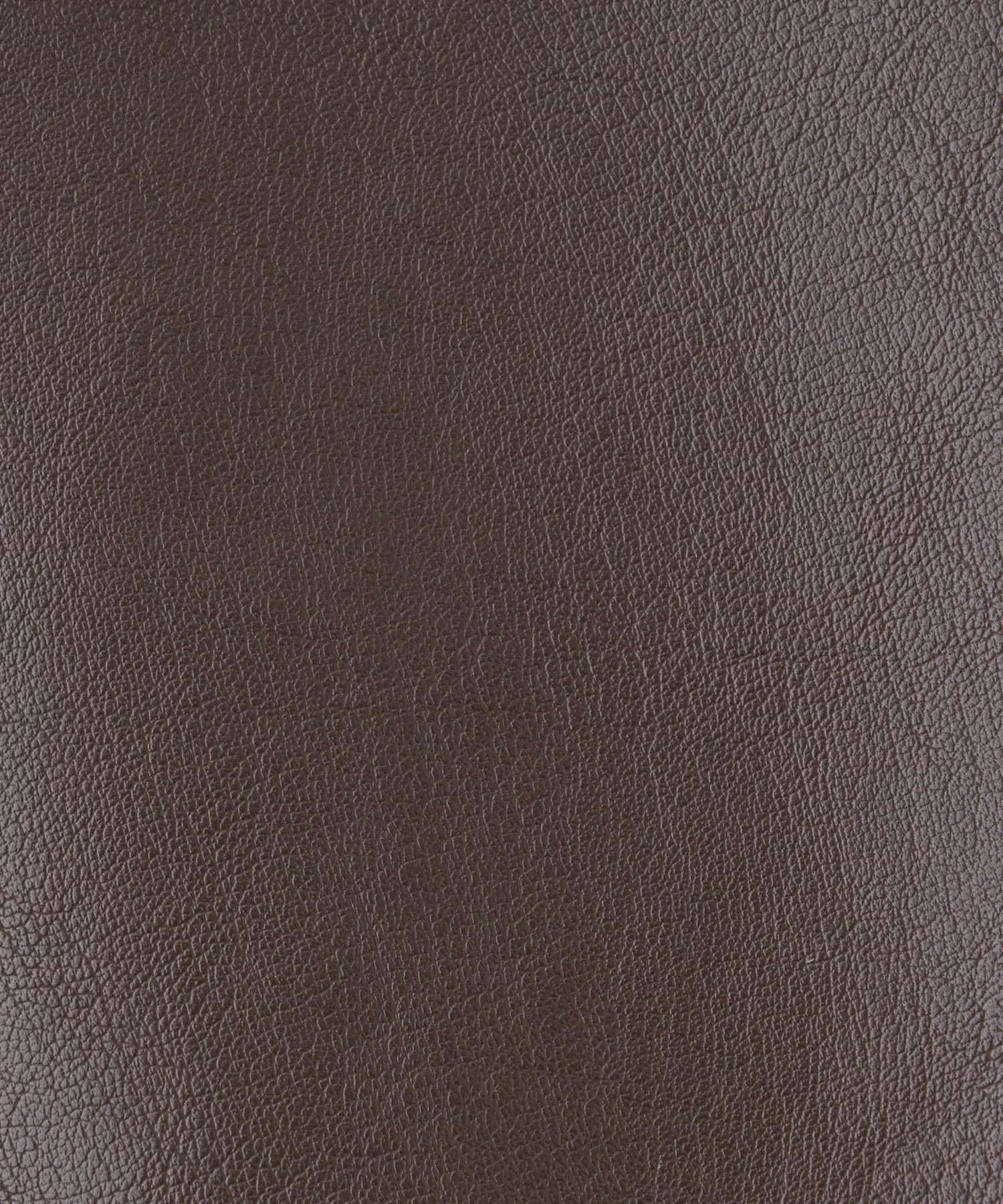 ボアカラーレザーブルゾン｜PETAL ONLINE（ペタルオンライン）