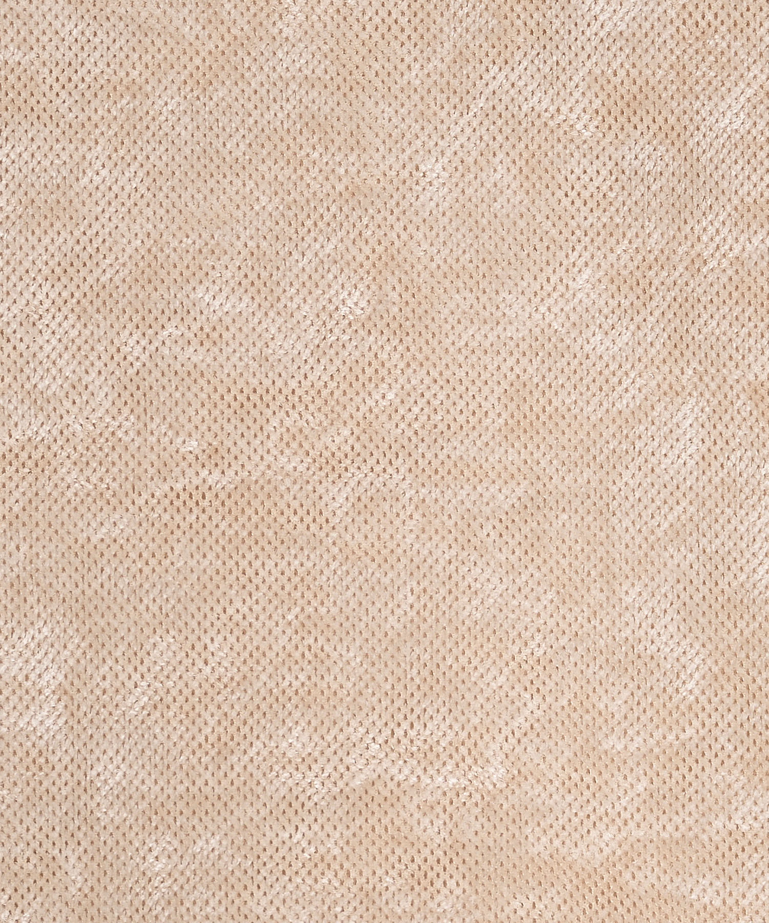 シアーベロア2WAYトップス｜PETAL ONLINE（ペタルオンライン）