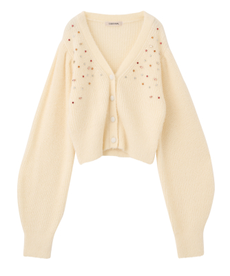 ❪新品 完売❫DelyleNOIR ビジューアイスニットカーディガン 新品 完売❫DelyleNOIR ビジューアイスニットカーディガン 新品 完売